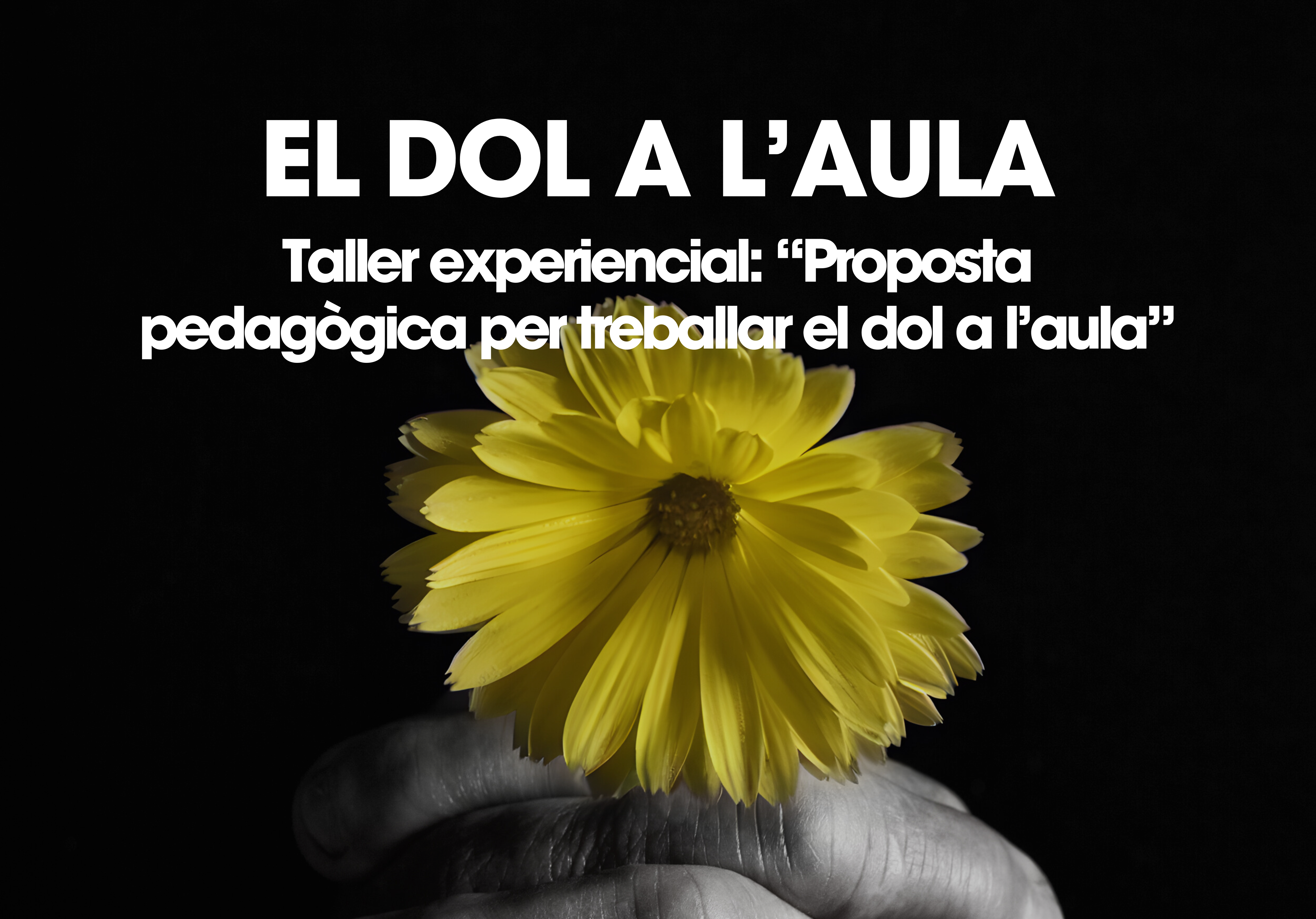 El dol a l’aula_web