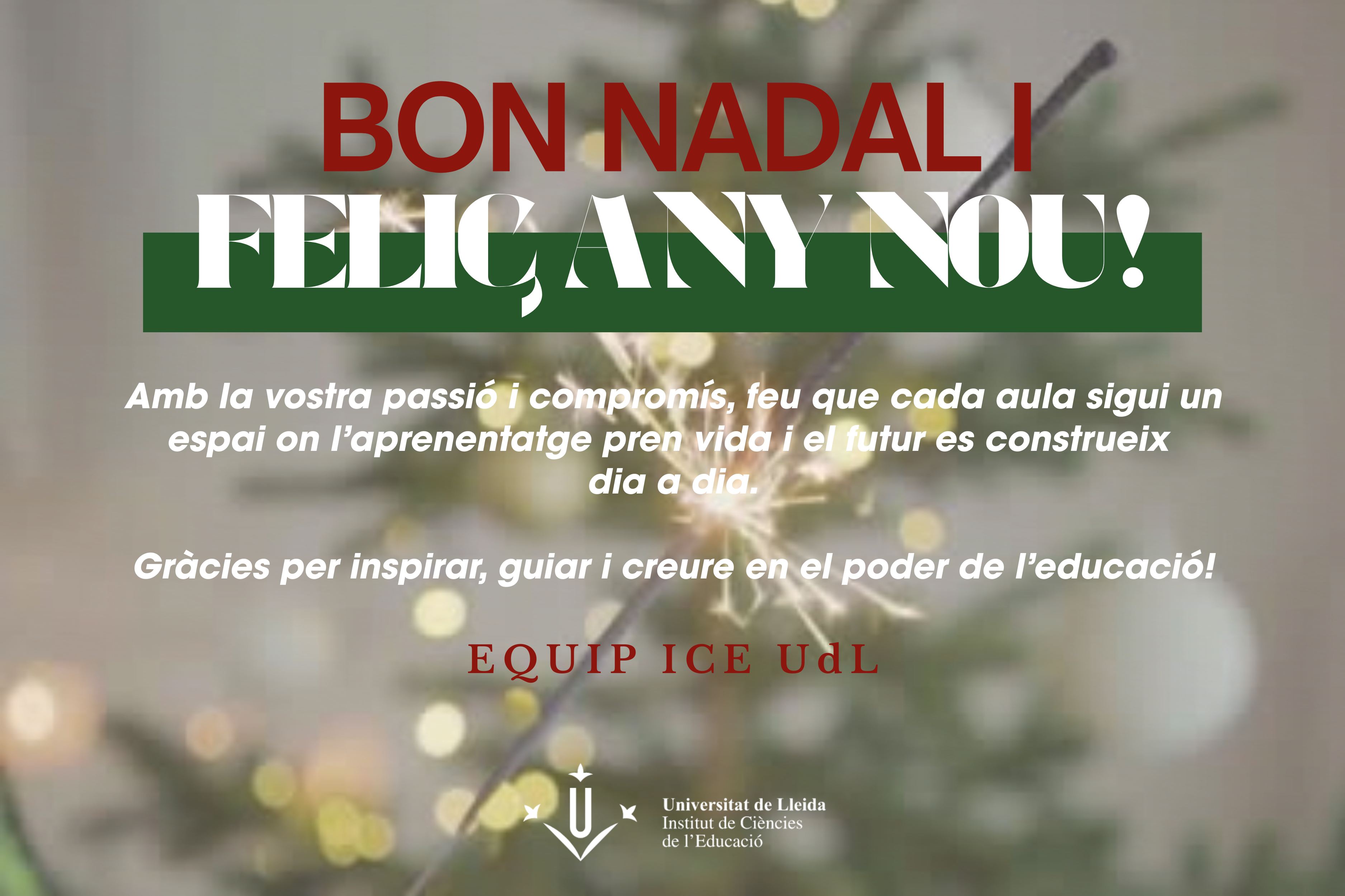 Miniatura web festes